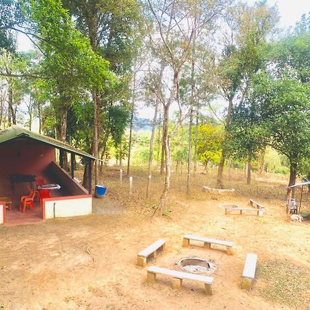 Shrenya Orchidz-Coorg Nature Stay Madikeri Extérieur photo