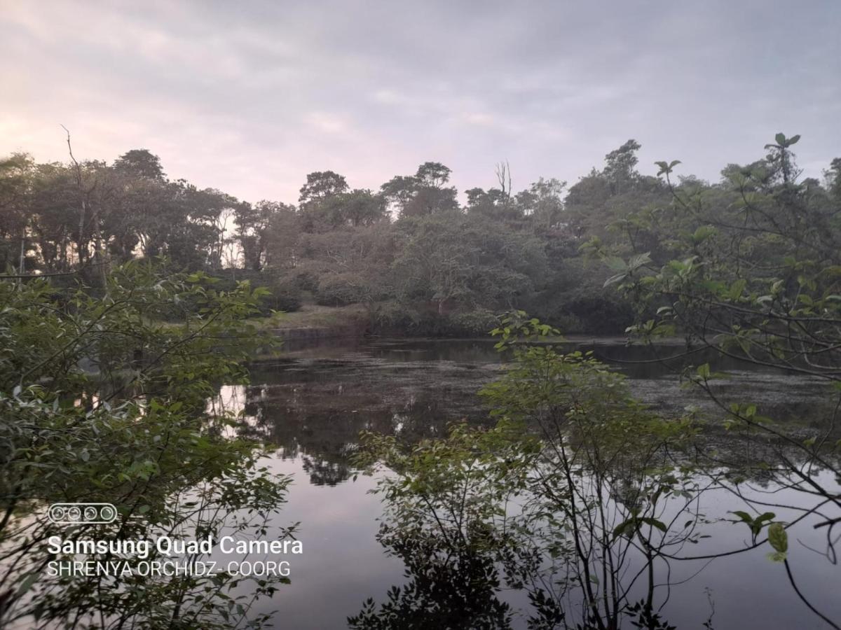 Shrenya Orchidz-Coorg Nature Stay Madikeri Extérieur photo