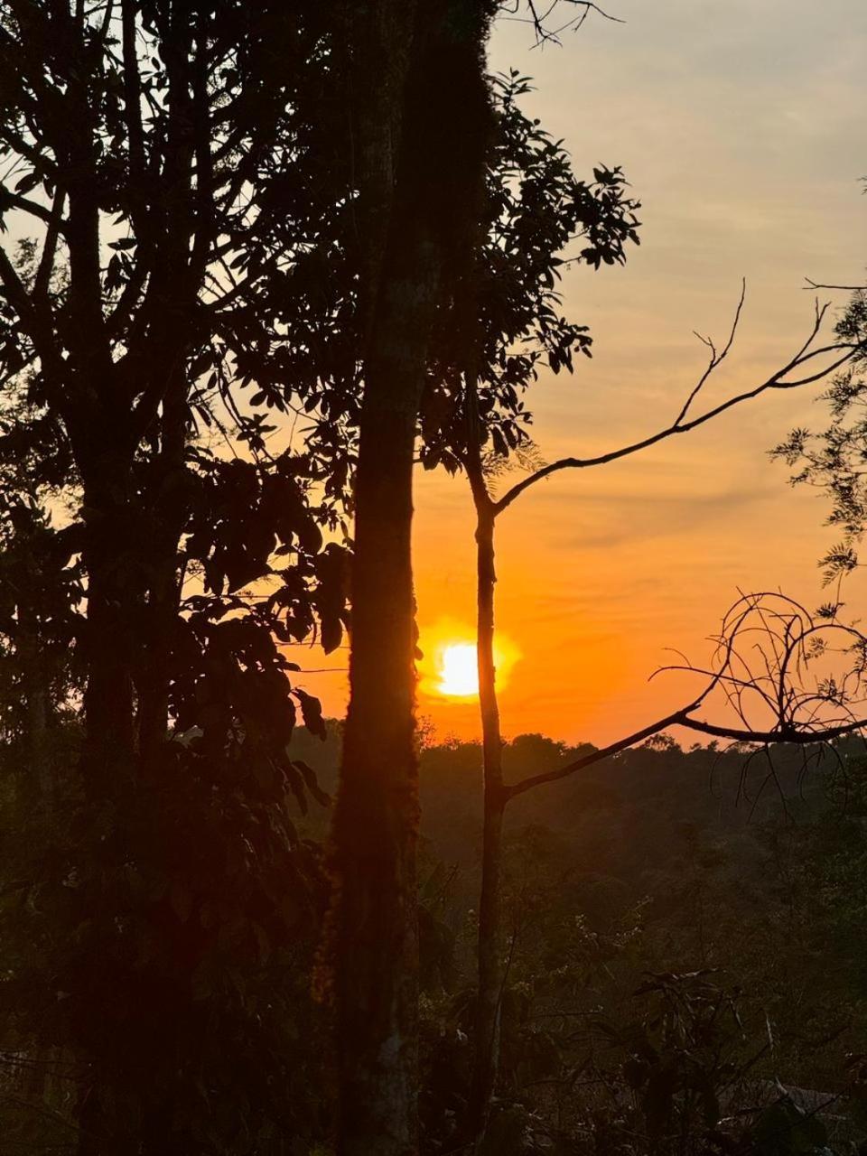 Shrenya Orchidz-Coorg Nature Stay Madikeri Extérieur photo