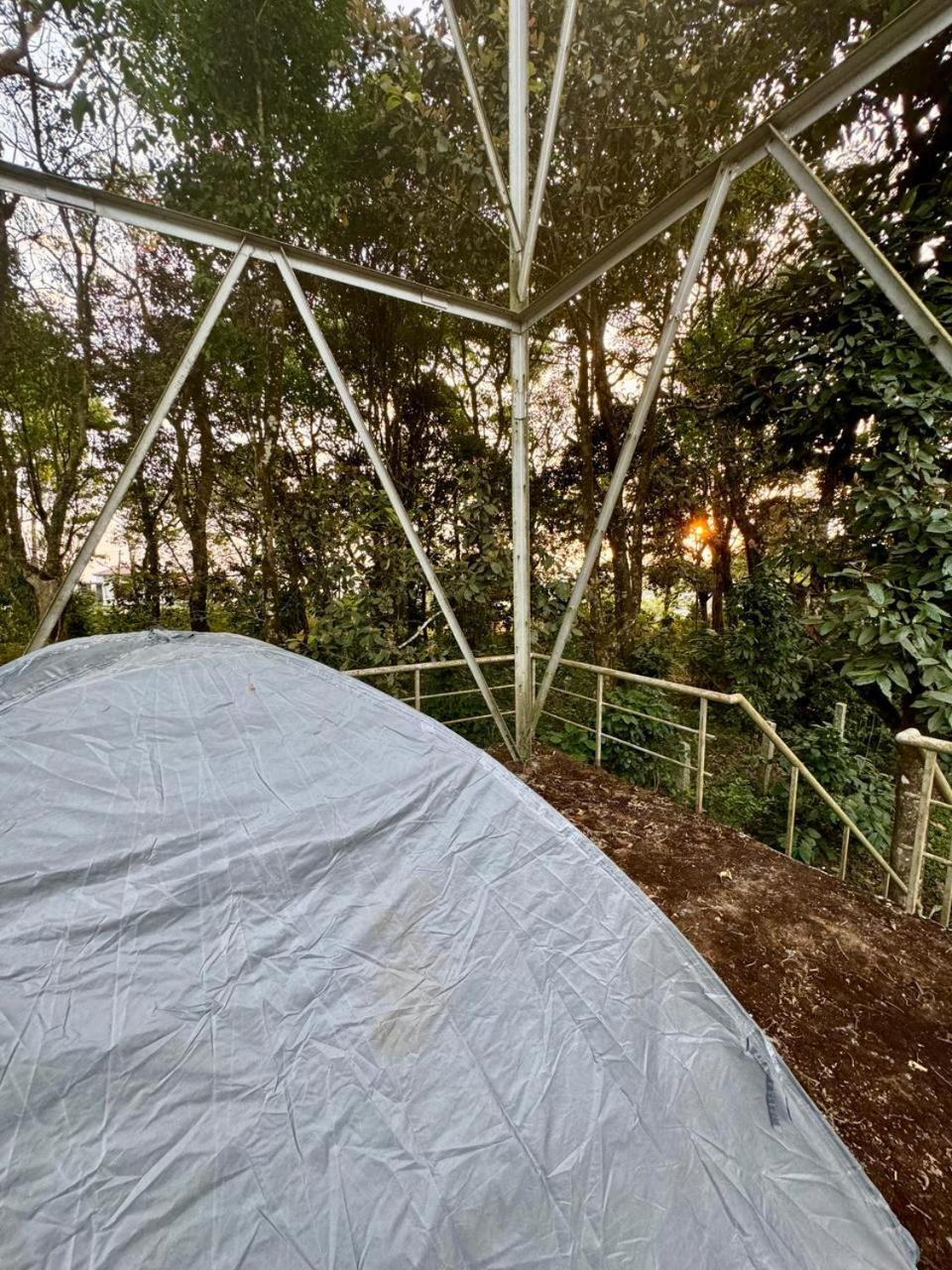 Shrenya Orchidz-Coorg Nature Stay Madikeri Extérieur photo