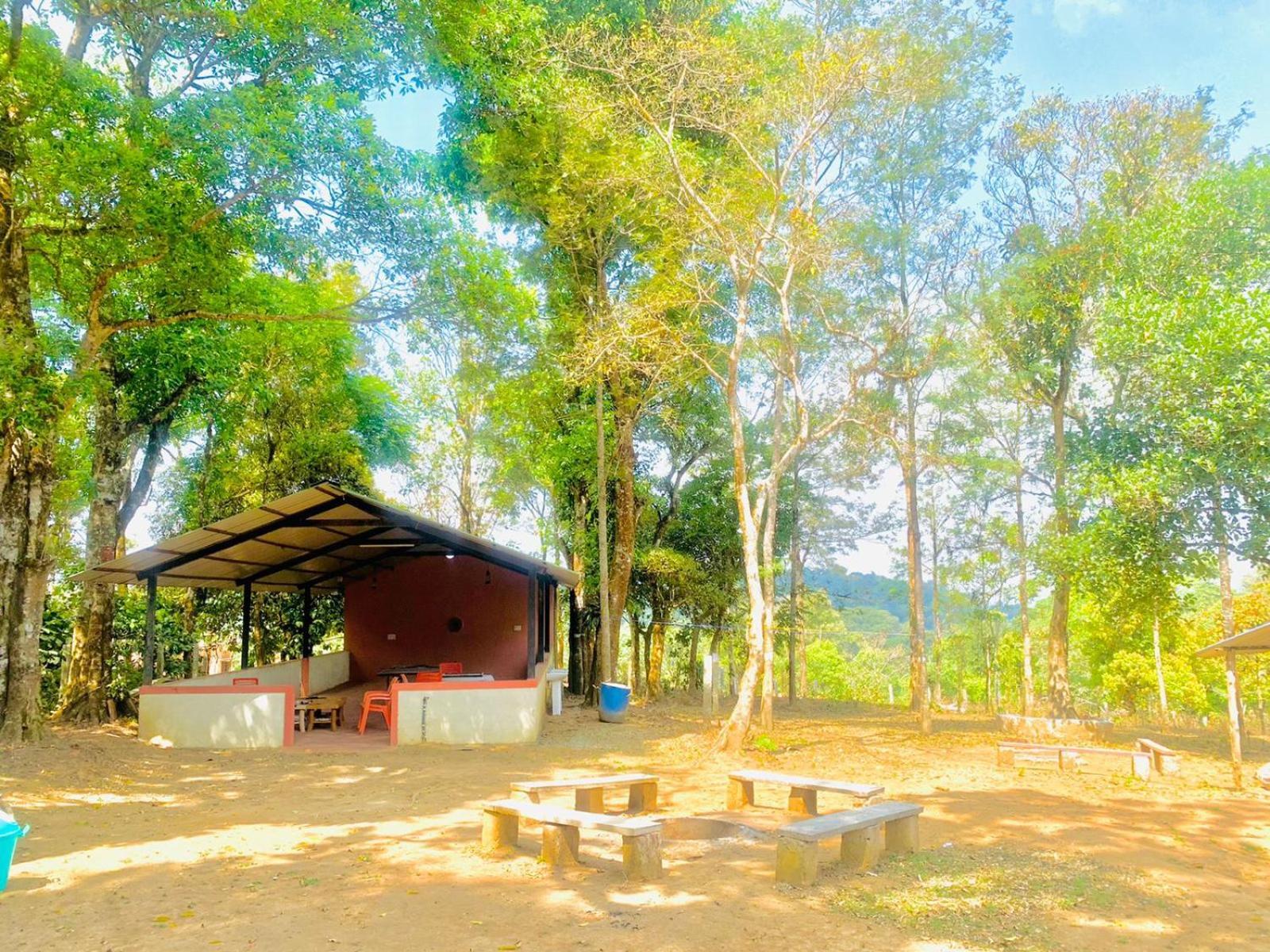 Shrenya Orchidz-Coorg Nature Stay Madikeri Extérieur photo